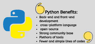 python online course